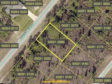 Lehigh Acres Area Lot For Sale in Lehigh Acres Florida