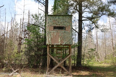 Discover an exceptional hunting and recreational property in the - photo 41