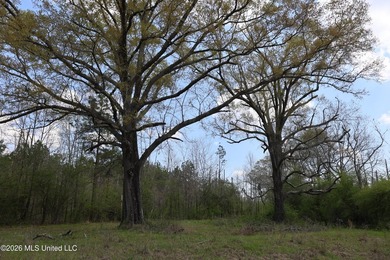 Discover an exceptional hunting and recreational property in the - photo 49
