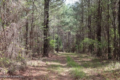 Discover an exceptional hunting and recreational property in the - photo 50