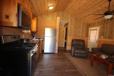 PROPERTY AVAILABLE (DAISY CREEK) 3 Fully Furnished Cabins (LOG) - photo 6