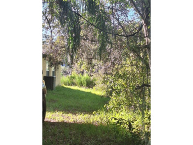 Lake Lot For Sale in Deltona, Florida