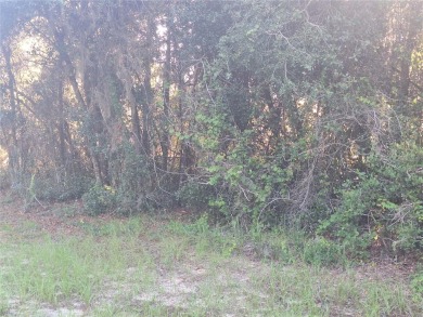Lake Lot For Sale in Deltona, Florida