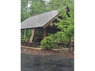 Beautiful waterfront lot on Lake James in gated Arbor Community - photo 10