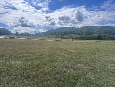 Great Location with beautiful Mountain views. This level lot - Lake Lot For Sale in Harriman, Tennessee