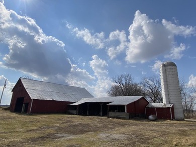An exceptional opportunity to acquire 375+/- acres in Logan - photo 4