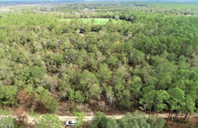 Lake Talquin Acreage For Sale in Quincy Florida