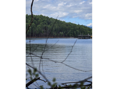 Beautiful waterfront lot on Lake James in gated Arbor Community - photo 8