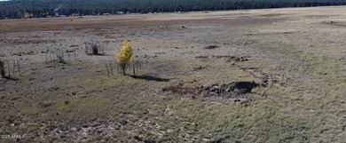 Mormon Lake Acreage For Sale in Mormon Lake Arizona