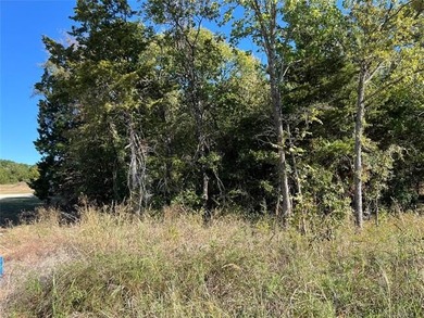 Lake Lot For Sale in Kingston, Oklahoma