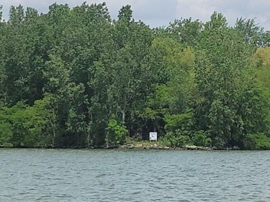 Wooded LAKEFRONT! Approximate lake frontage is 250'. Here is - photo 3