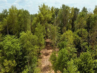 Wooded LAKEFRONT! Approximate lake frontage is 250'. Here is - photo 4