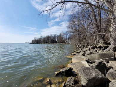 Wooded LAKEFRONT! Approximate lake frontage is 250'. Here is - photo 7