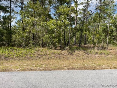 Lake Lot For Sale in Dunnellon, Florida