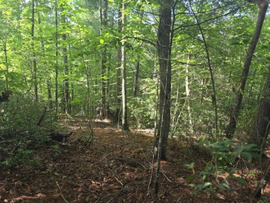 Beautiful waterfront lot on Lake James in gated Arbor Community - photo 3