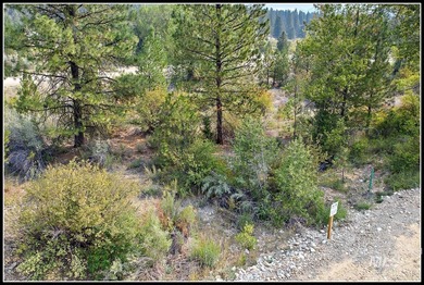 (private lake, pond, creek) Lot For Sale in Idaho City Idaho