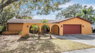 Lake Home For Sale in Lutz, Florida