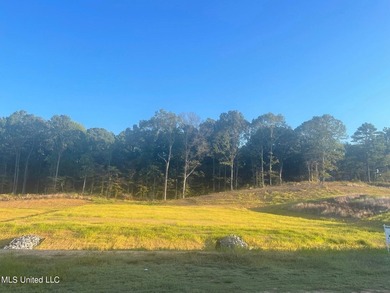 Incomparable Gray's Creek in Hernando, MS ~ Your chance to build - photo 1