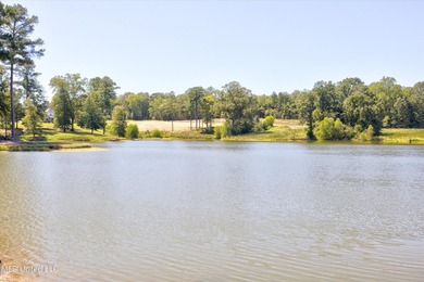 Incomparable Gray's Creek in Hernando, MS ~ Your chance to build - photo 7