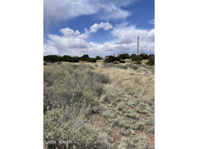 Concho Lake Lot For Sale in Concho Arizona