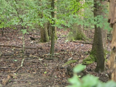 Beautiful waterfront lot on Lake James in gated Arbor Community - photo 4
