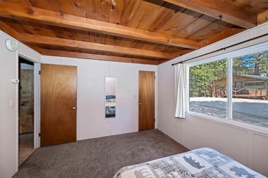 572 Dahlia - photo 16