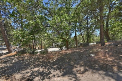 572 Dahlia - photo 27