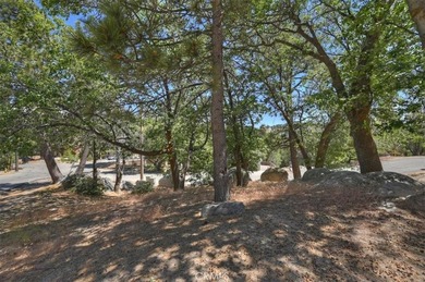 572 Dahlia - photo 28