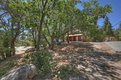 572 Dahlia - photo 29