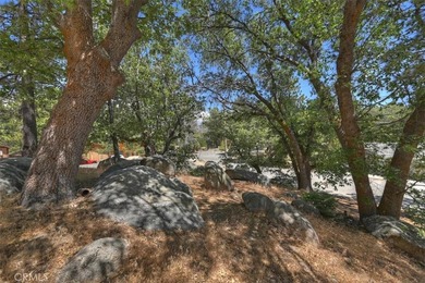 572 Dahlia - photo 31