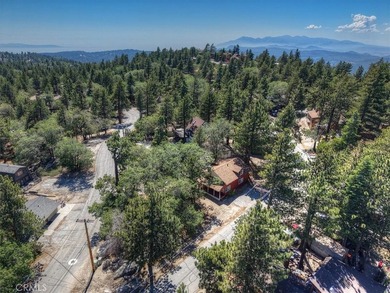 572 Dahlia - photo 33