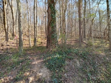 Norris Lake Lot SOLD! in Rocky Top Tennessee
