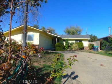 Sacramento River - Tehama County Home For Sale in Red Bluff California