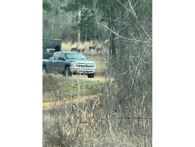 (private lake, pond, creek) Acreage For Sale in Bogue Chitto Mississippi