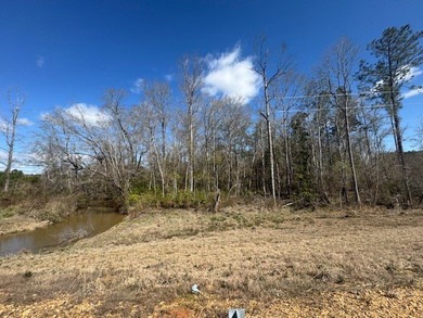 Looking for land in the country but not far from town? This is - photo 3