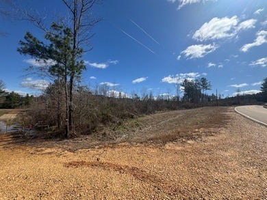 Looking for land in the country but not far from town? This is - photo 4