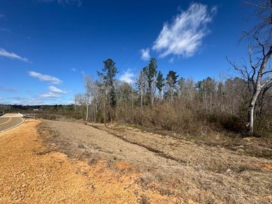 Looking for land in the country but not far from town? This is - photo 5
