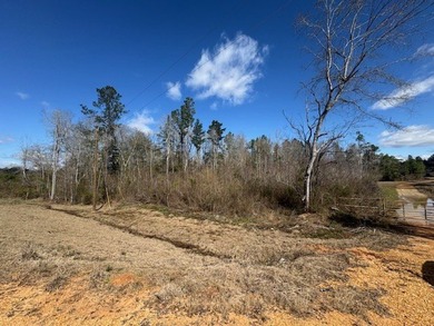 Looking for land in the country but not far from town? This is - photo 6