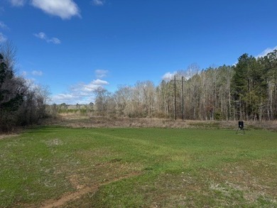Looking for land in the country but not far from town? This is - photo 8