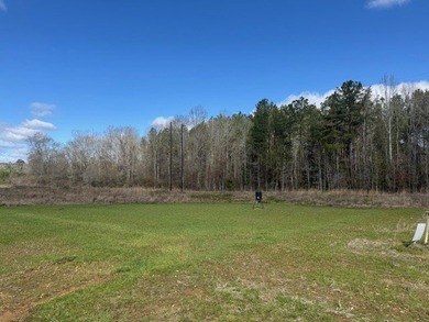 Looking for land in the country but not far from town? This is - photo 9