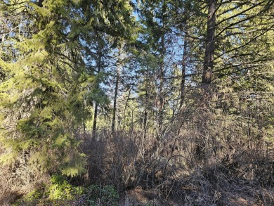 Lake Roosevelt Acreage For Sale in Kettle Falls Washington