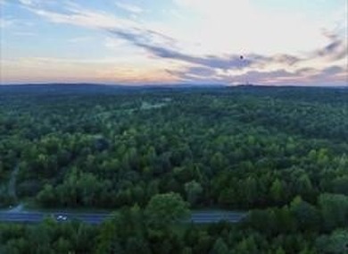 Lake Palestine Lot For Sale in Larue Texas