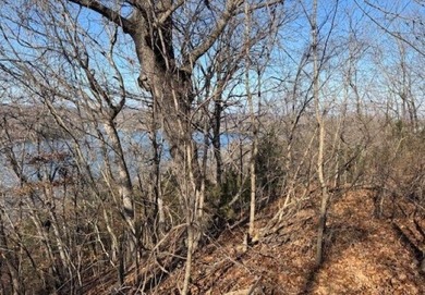 A rare and highly versatile 10.5+/- acre tract located in Camden - photo 11