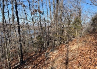 A rare and highly versatile 10.5+/- acre tract located in Camden - photo 14