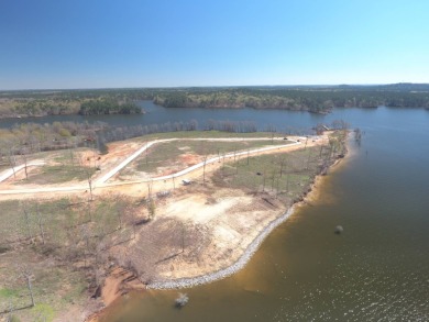 Queen of the Bend Subdivision, like its name, Toledo Bend Lake's - photo 4