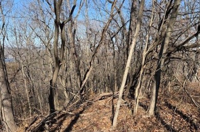 A rare and highly versatile 10.5+/- acre tract located in Camden - photo 20