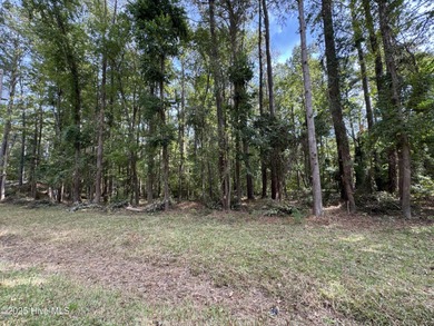 Pamlico River Lot For Sale in Bath North Carolina