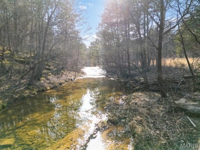 Lake Acreage For Sale in Blackwell, Missouri