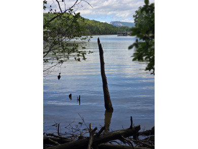 Beautiful waterfront lot on Lake James in gated Arbor Community - photo 6