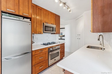 Experience luxury living in this rarely available 23rd-floor *E* - photo 10